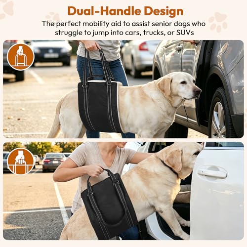 Adjustable Dog Lift Harness for Large & Medium Sized Dogs (black / S)