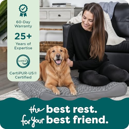 Orthopedic Dog Bed for Large Dogs (Jumbo/XL / Gray)