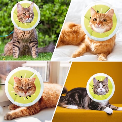 Soft Adjustable Cat Cone Collar (Gold Kiwi / Small)