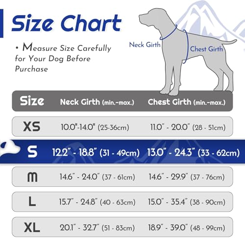 Dog Harness for Small Dogs (Small / Blue & Orange)