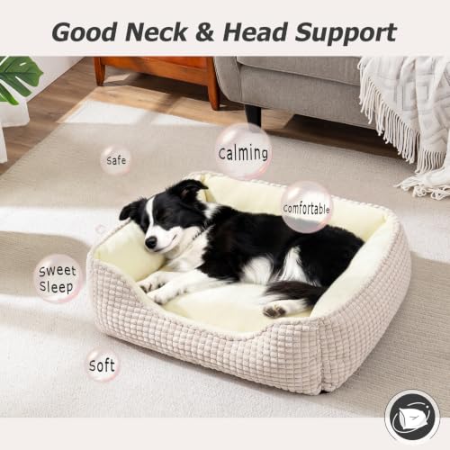 Dog Beds for Medium Dogs Washable (Ivory Beige / M(25’’x 21’’x 8’’))