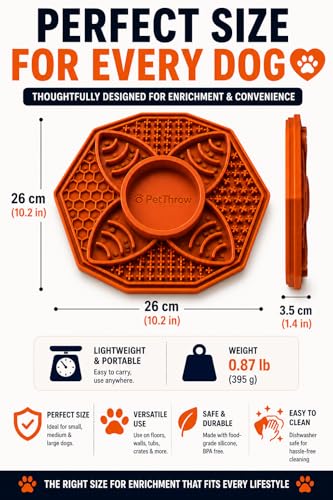 Dog Lick Mat & Slow Feeder Bowl