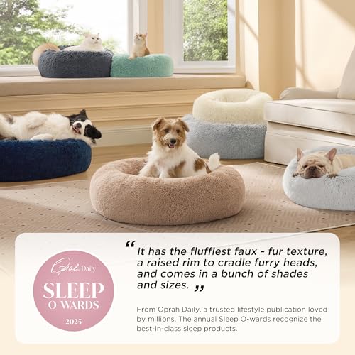 Calming Cat Beds Donut Round Washable Kitten Bed (20"L x 20"W x 6"Th / Rifle Green)