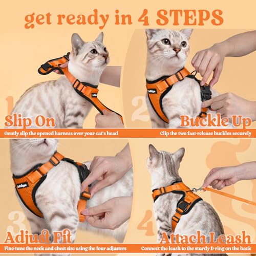 Cat Harness and Leash Set (Xxs / Orange)