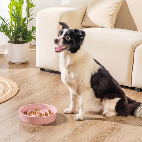 Ceramic Slow Feeder Dog Bowl (L - 3 Cups / Pink)