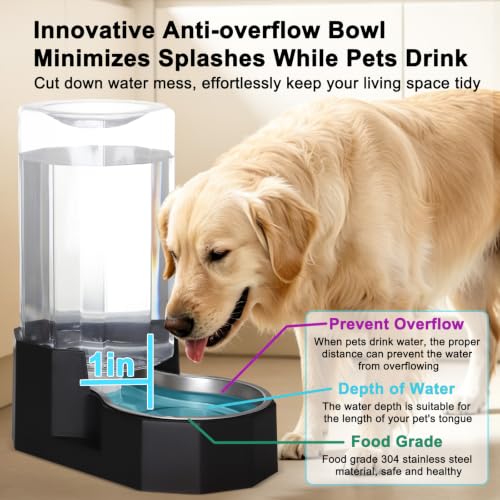 8L Large Dog Water Dispenser (Black / 8L Without Filter)