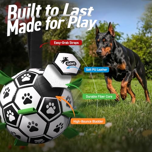 10 Inch Gaint Dog Soccer Ball with Straps (Black Green / 10 Inch)