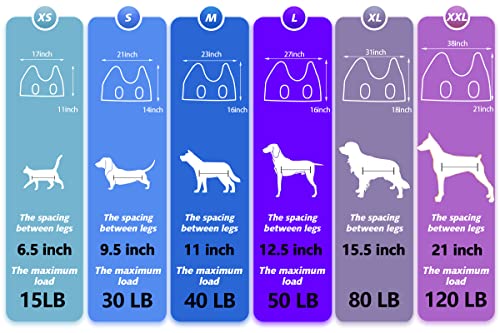 Dog Grooming Hammock (M for Medium Dogs 40LB / Cyan)