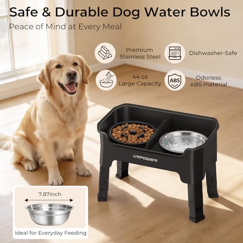 Mess Proof Elevated Dog Bowls (Matte Black / Large)