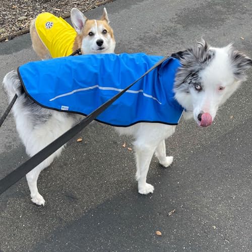 Dog Raincoat Adjustable Waterproof Reflective Rain Jacket for Small Medium Large Dogs (M Chest 26"-32" / Blue)