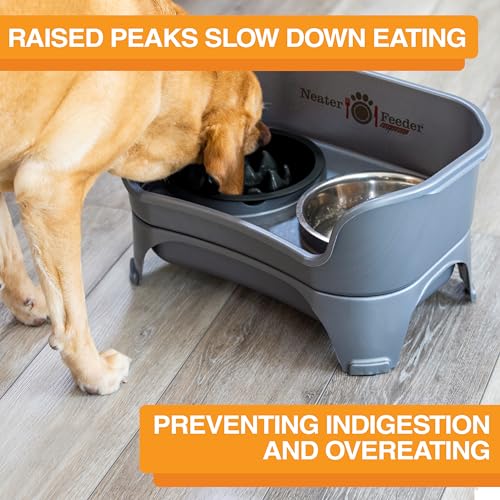 The Niner Slow Feed Bowl (Black / 2 Cup)