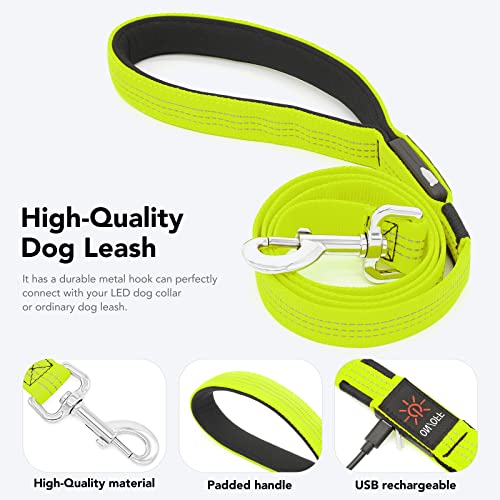 Light Up Dog Leash (Green & Reflective Wires / 4FT)