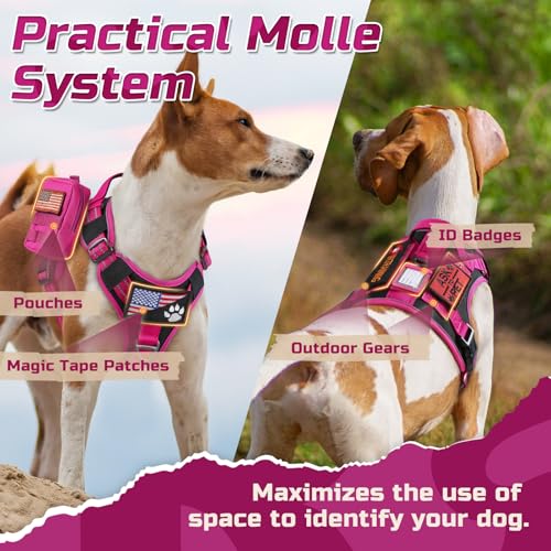 Tactical Dog Harness for Medium (Black & Rose Red / Medium)