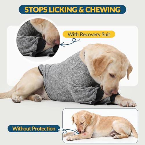 Dog Elbow Protector (M / Grey)