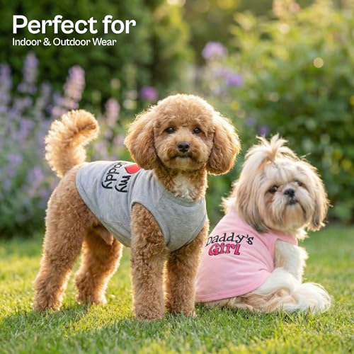 2 Pack Dog Shirts (Medium (8-12lbs))