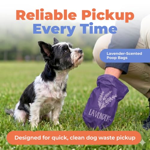 Poop Bags for Dogs (Purple (Lavender Scented) / 240 Bags)
