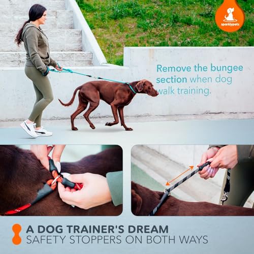 Bungee Rope Handsfree Leash for 1 Dog Medium & Large (Red)
