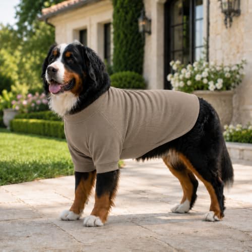 Ribbed Dog T Shirt Cotton Knitted Dog Sweaters for All Season Pet T (L (for Small Medium Dog) / Beige)