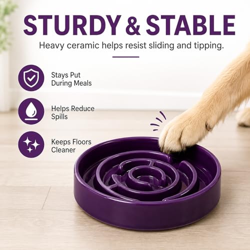 Ceramic Slow Feeder Dog Bowl (Purple)