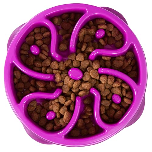 Fun Feeder Slo Bowl (Purple / Medium)
