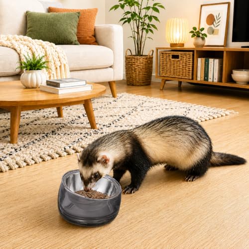 Oblik 15° Tilted Small Animal Bowls for Pet Food & Water 6 oz Stainless Steel Dish Removable (Smoky / Mini Pet)