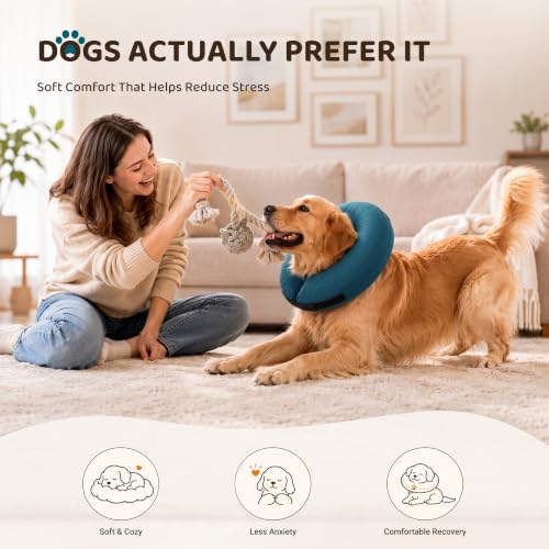 Inflatable Dog Cone (Blue / XL(21"-24"))
