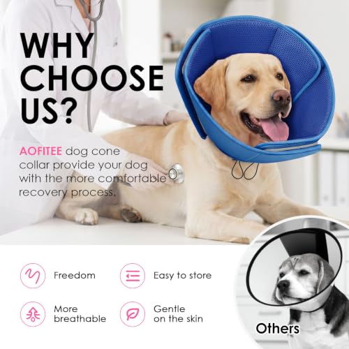 Soft Dog Cone Collar (Blue / Small)