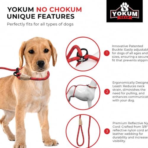 12ft No Choke Leash Long Rope Dog Leash (12 Ft / RED)
