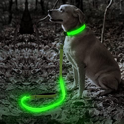 LED Dog Leash (GreenⅢ)