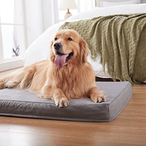 Orthopedic Memory Foam Bed for Large Dogs (Short Plush / L Plus-36"x 27" x 3")