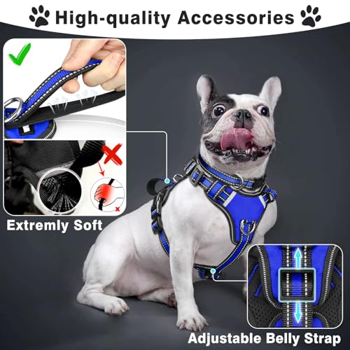 All-in-One Reflective Dog Harness, Collar & Leash Set, No Pull with Adjustable Buckles, X-Large, Dark Blue (X-Large / Dark Blue)
