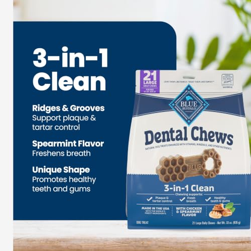 Chicken & Spearmint Large Dental Chews (33 Ounce (Pack of 1))