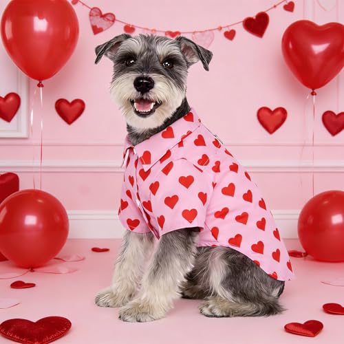 Valentine's Dog Shirt with Leash D (Medium / Pink Heart)