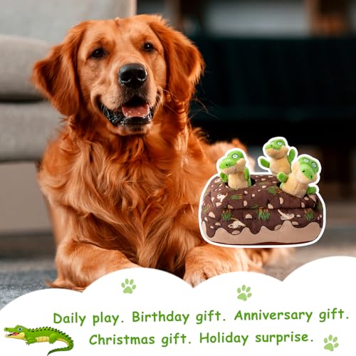 Squeaky Hide and Seek Dog Toys for Small and Medium (Crocodile)