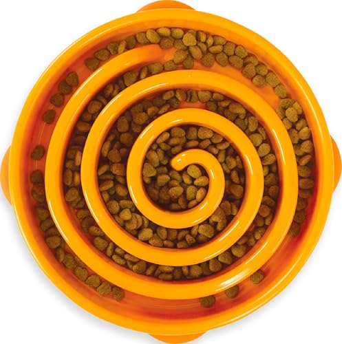 Fun Feeder Slo Bowl (Orange / Large)