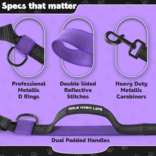 Hands Free Leash (Black Purple / 7FT Hands Free)