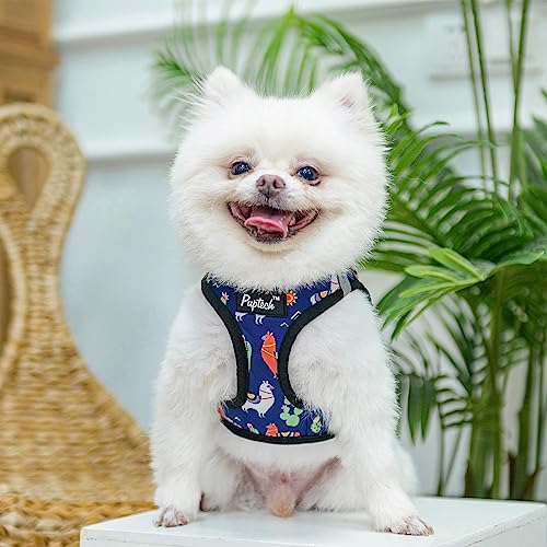 Dog Harness Collar and Leash Set No Pull for Small Medium Sized (Navy Blue(Alpaca) / XXS (CHEST 11.5"-13"))