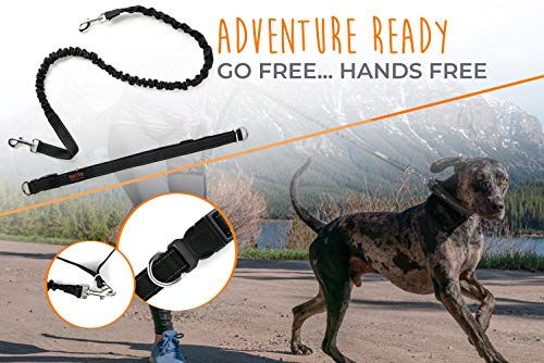 Hands Free Dog Leash (48" / Black)