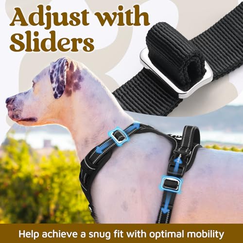 Dog Harness Small Sized (Black / Small)