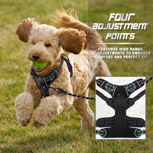 Dog Harness No Pull for Small Sized Dog Front Back Clips (X-Small(Chest:15.5-19.5”) / Black)