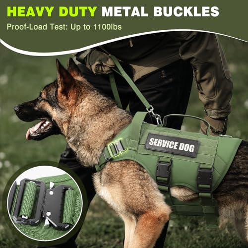 Service Dog Vest Harness for Large Dog (Large / Green)