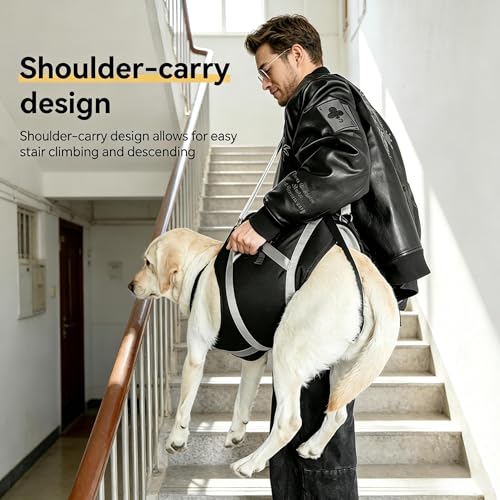 Waterproof Dog Lift Harness for Large Dogs 66 (XXL)