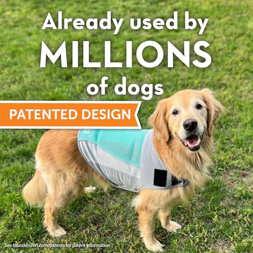 Breeze for Dogs Calming Anxiety Vest (Aqua / X-Large)