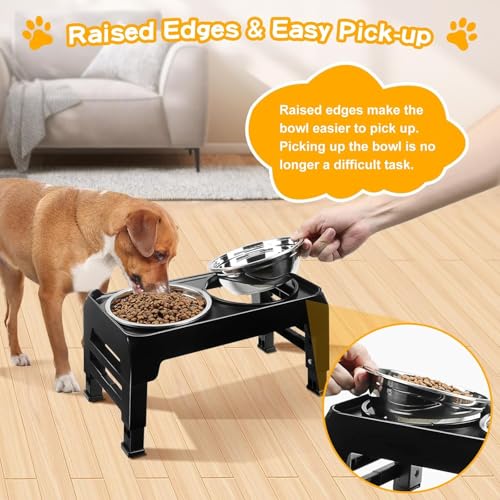Elevated Dog Bowls for Small Medium Dogs (Black / 6" for Small Dogs)