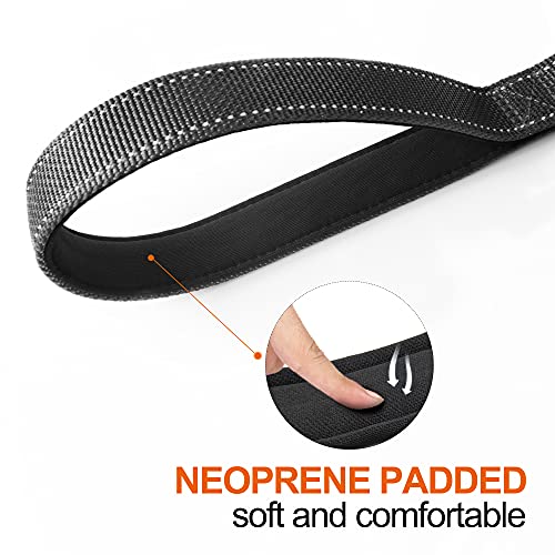 5FT 1IN Strong Black Dog Leash with 2 Padded Handles (Black / 1 in x 5 ft)