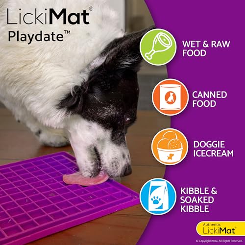 Classic Playdate Slow Feeder for Dogs Lick Mat Boredom Anxiety Reducer Perfect for Food Treats Yogurt Liquid Food Peanut Butter Fun Alternative to a Slow Feed Dog Bowl (Orange)