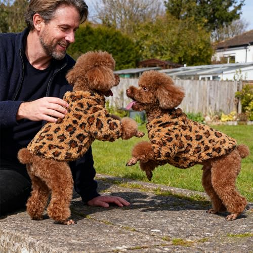 Leopard Print Dog Sweater (Coffee Brown / Small)