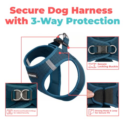 Voyager Step in Air Dog Vest Harness (Blue / L (Chest: 18 - 20.5"))