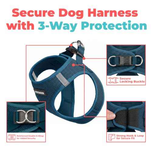 Voyager Step in Air Dog Vest Harness (Blue / XS (Chest: 13 - 14.5"))