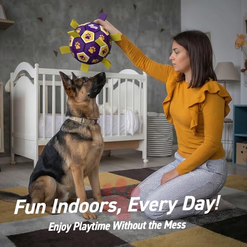 Extra Large Dog Toy Soccer Ball (Purple Yellow / 9 Inch)